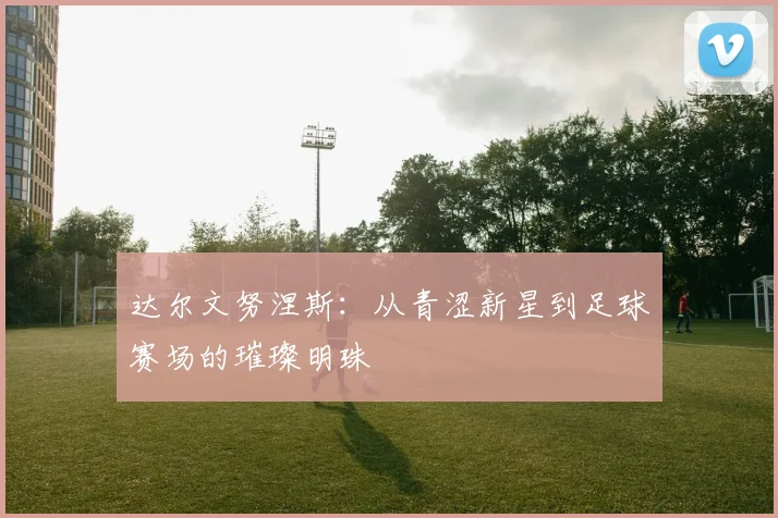 达尔文努涅斯：从青涩新星到足球赛场的璀璨明珠