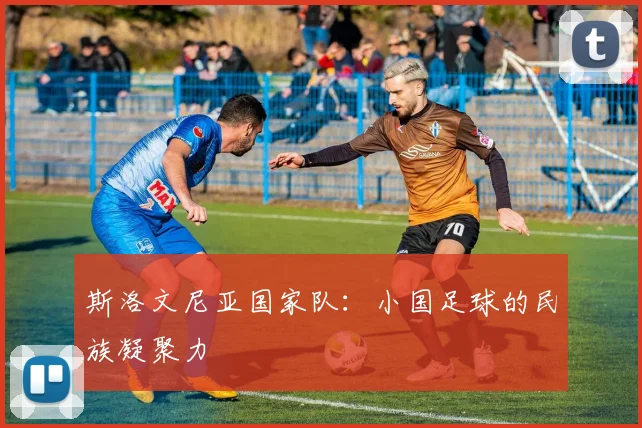 斯洛文尼亚国家队：小国足球的民族凝聚力