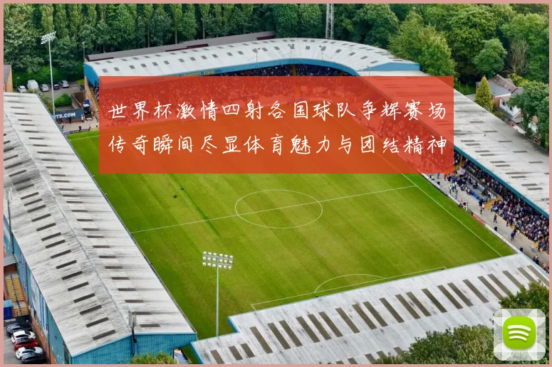世界杯激情四射各国球队争辉赛场传奇瞬间尽显体育魅力与团结精神