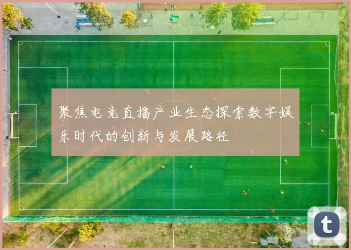 聚焦电竞直播产业生态探索数字娱乐时代的创新与发展路径