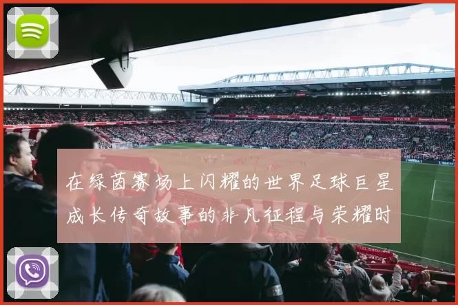 在绿茵赛场上闪耀的世界足球巨星成长传奇故事的非凡征程与荣耀时刻