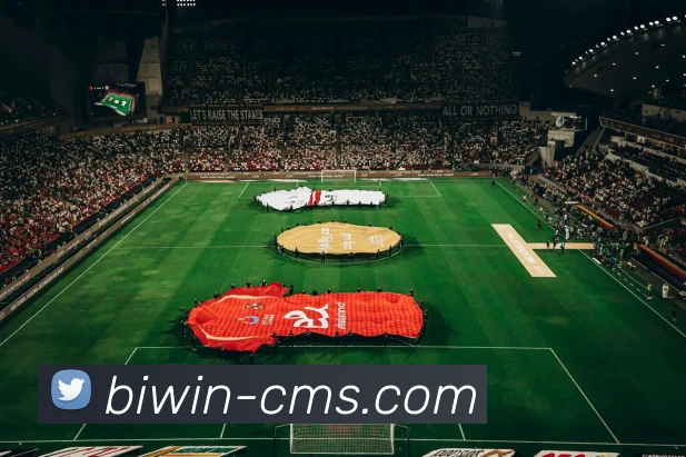 必赢官网APP 体育赛事宣传图